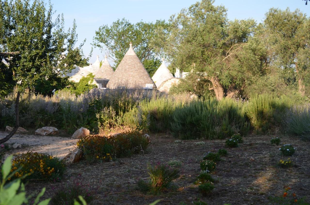 奇斯泰尼诺I Trulli Di Acquarossa公寓式酒店 外观 照片